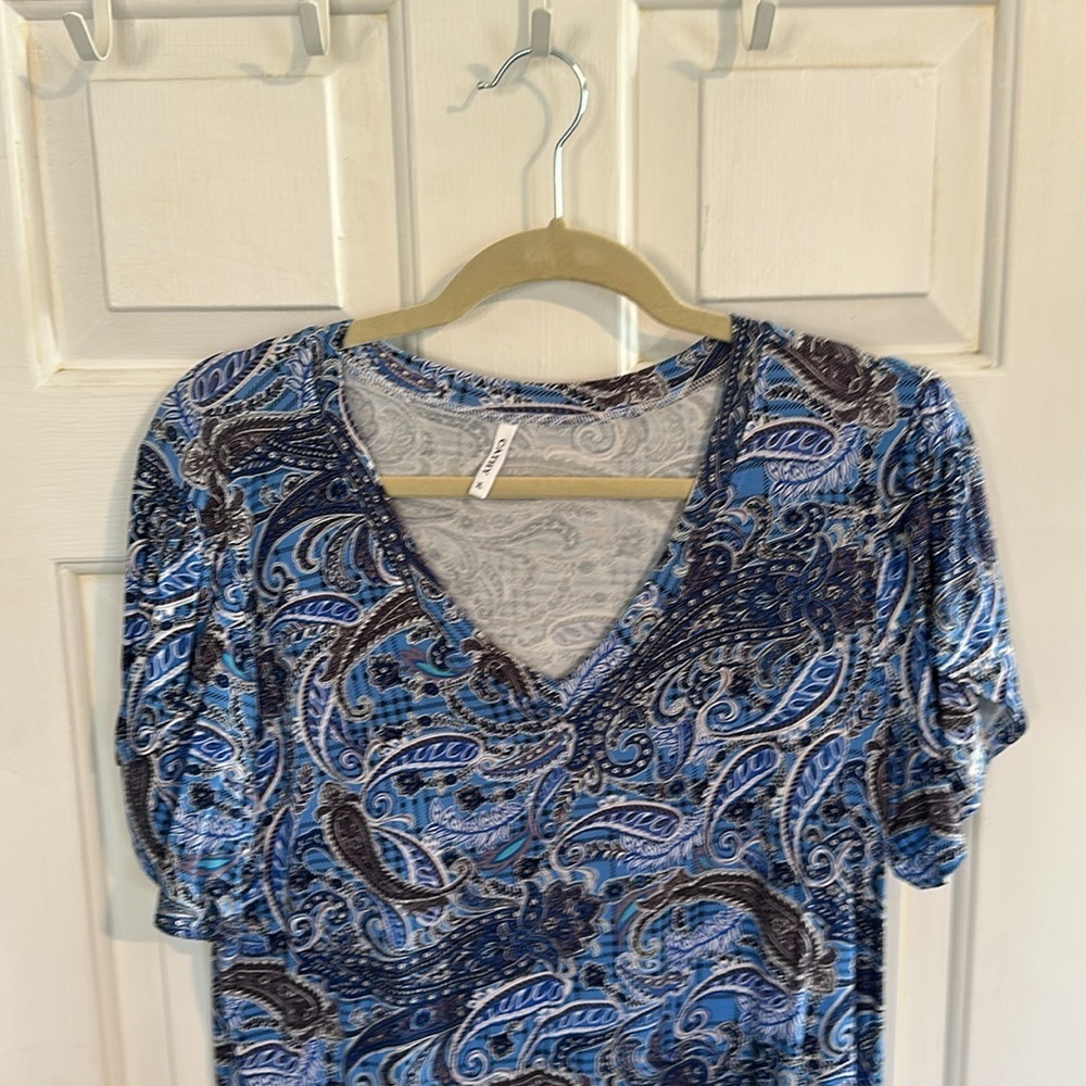 Cathy Blue Vneck Top size XL - Picture 2 of 3